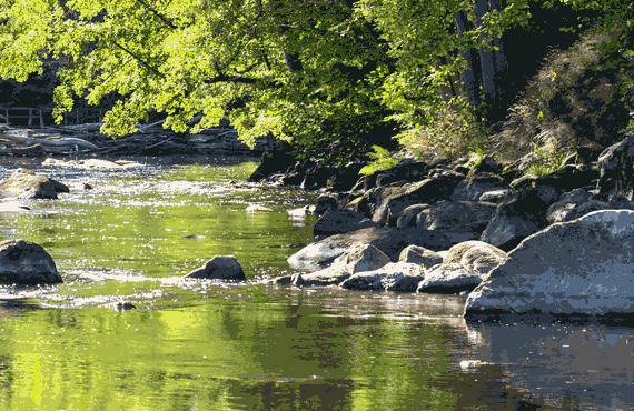 Image of a small river